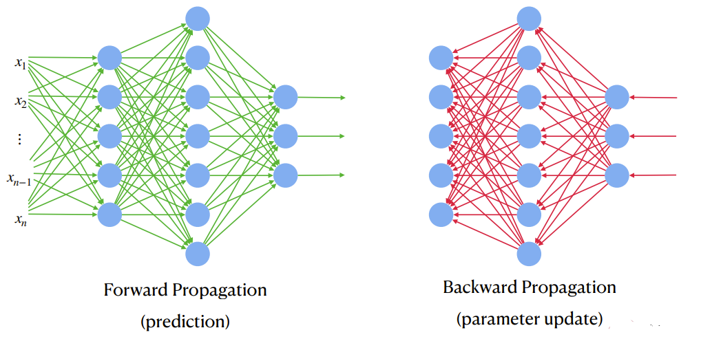 Backward Propagation